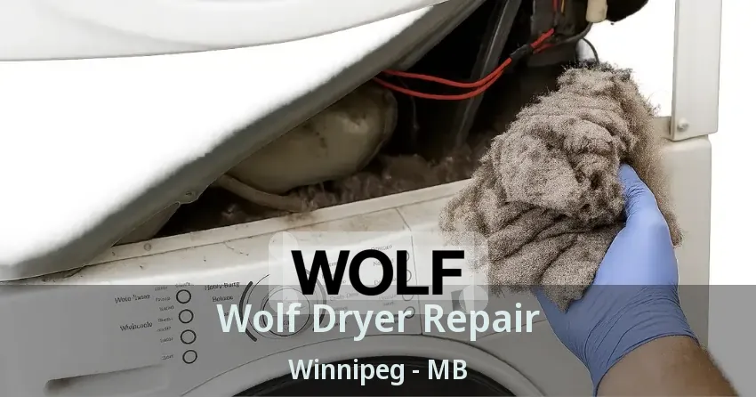 Wolf Dryer Repair Winnipeg - MB