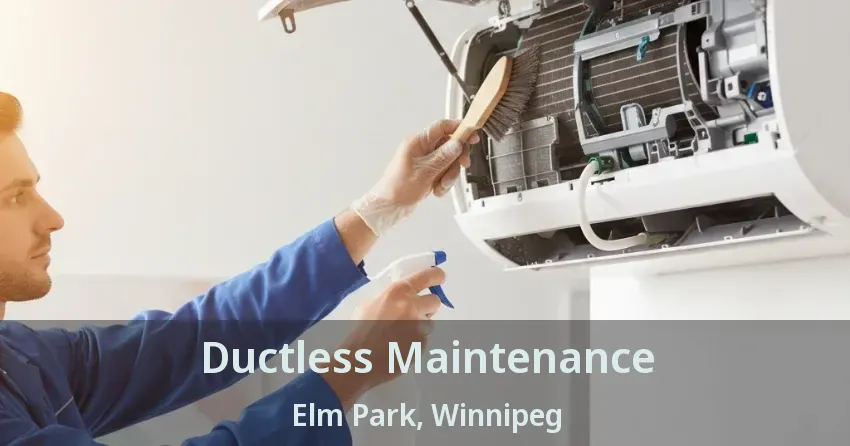 Ductless Maintenance Elm Park, Winnipeg - MB