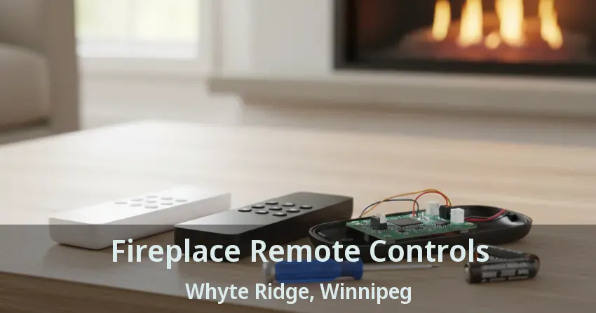 Fireplace Remote Controls Whyte Ridge, Winnipeg - MB