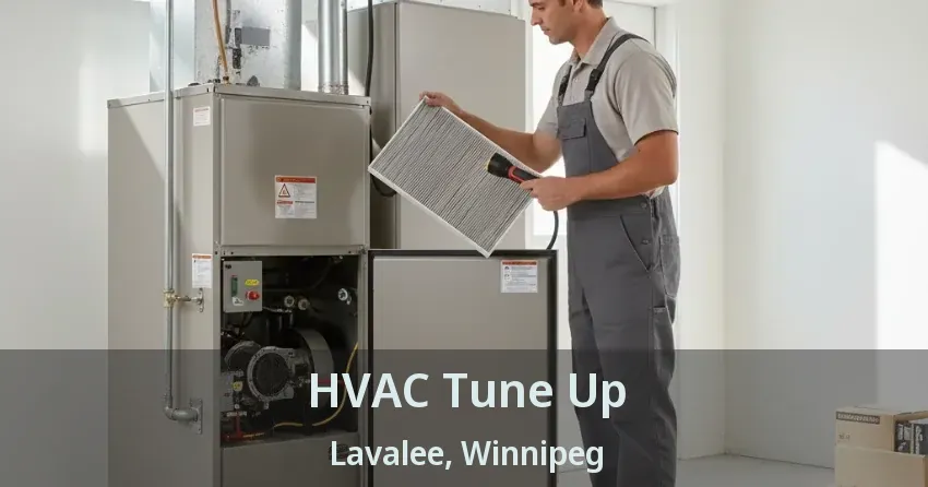 HVAC Tune Up Lavalee, Winnipeg - MB